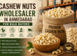 Cashew Nuts Wholesaler Ahmedabad